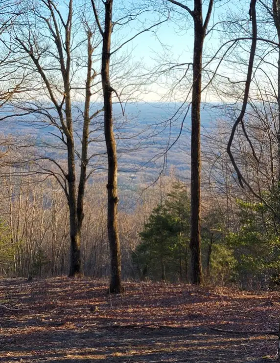 Lot 121 Lost Trail Drive, Landrum, SC 29356 - #2