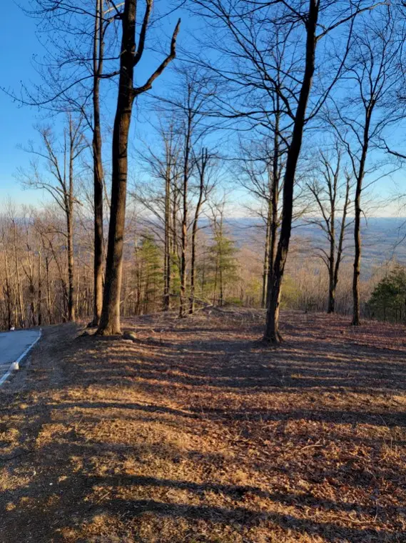 Lot 121 Lost Trail Drive, Landrum, SC 29356 - #3