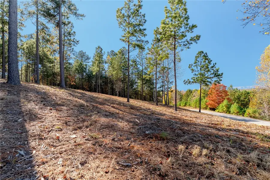 Lot 72 Hickory Springs Way, Six Mile, SC 29682 - #3