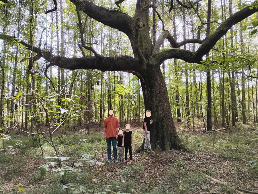 00 Hendersonville Highway, Green Pond, SC 29446 - #3