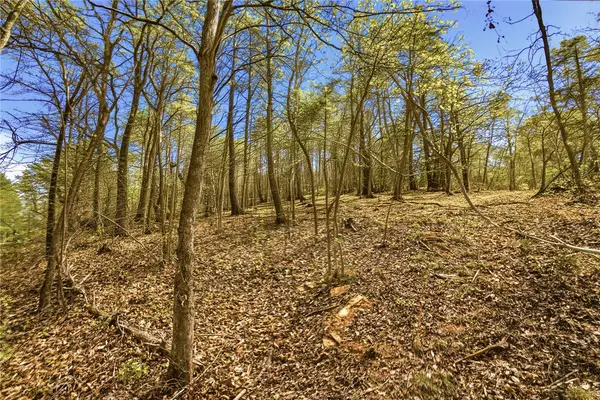 Lot 36 Brandywine Drive, Westminster, SC 29693