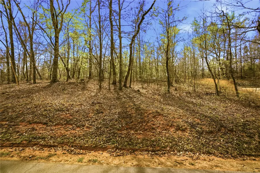 Lot 36 Brandywine Drive, Westminster, SC 29693 - #2