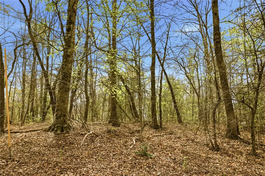 Lot 36 Brandywine Drive, Westminster, SC 29693 - #3