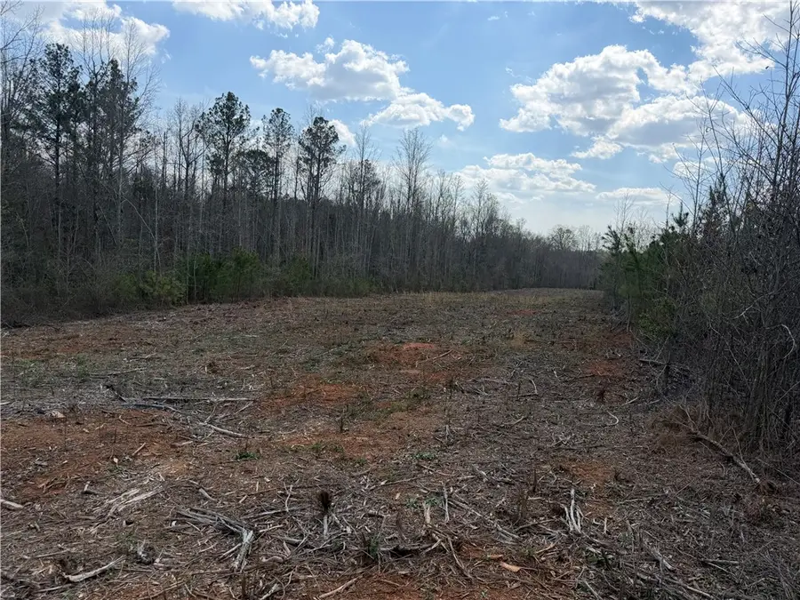 lot 17 Slabtown Road, Pendleton, SC 29670 - #2