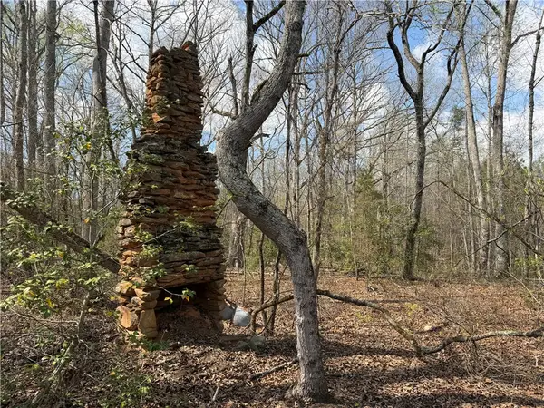 lot 5 Pickens Drive, Pendleton, SC 29670