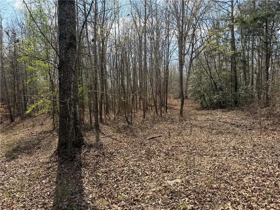 lot 5 Pickens Drive, Pendleton, SC 29670 - #2