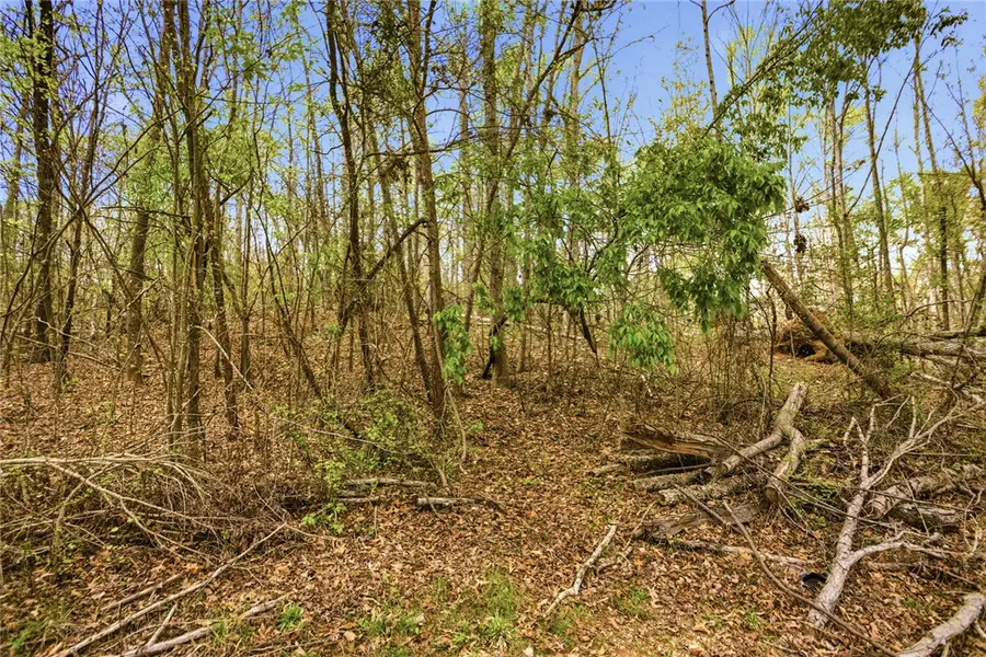 Lot 42 Brandywine Drive, Westminster, SC 29693 - #3