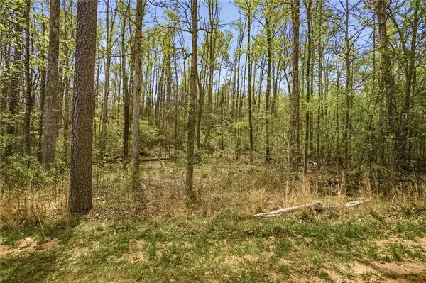 Lot 48 Brandywine Drive, Westminster, SC 29693
