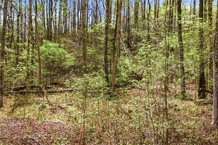 Lot 48 Brandywine Drive, Westminster, SC 29693 - #2