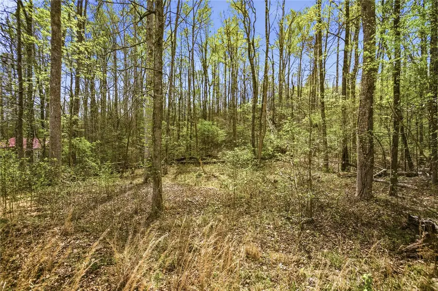 Lot 48 Brandywine Drive, Westminster, SC 29693 - #3