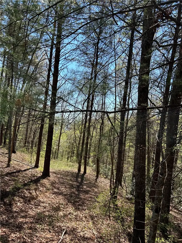 Lot 160 Club House Drive, Sunset, SC 29685 - #2