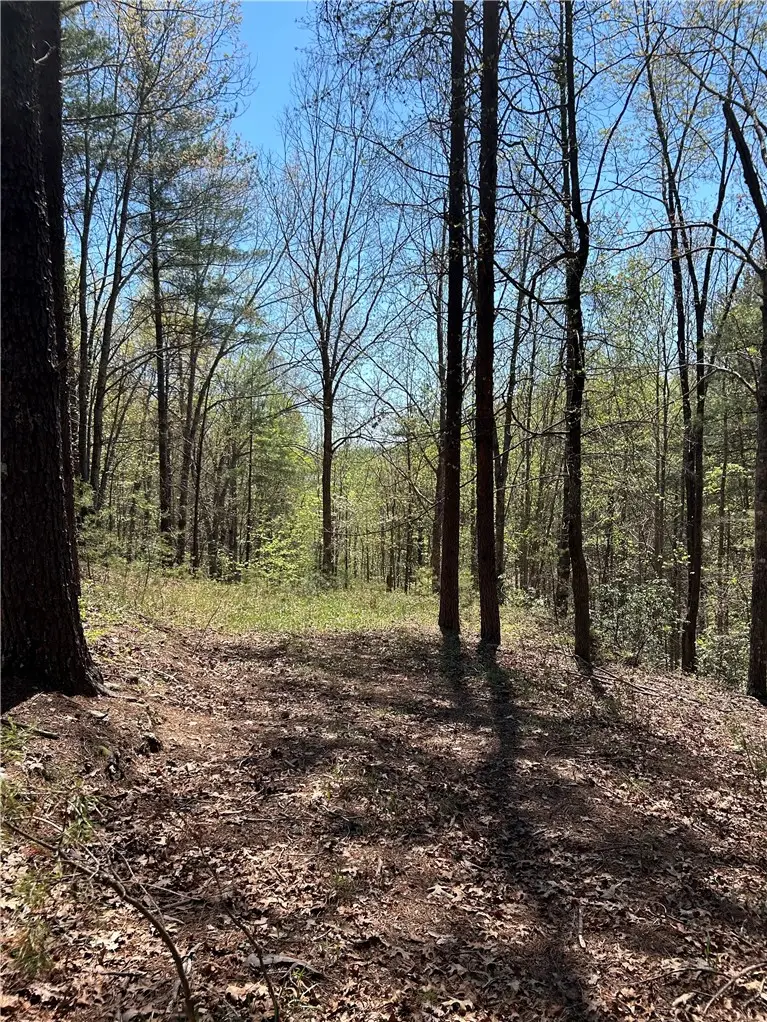 Lot 160 Club House Drive, Sunset, SC 29685 - #3