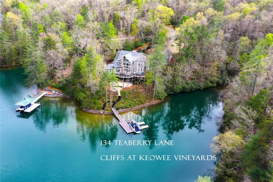 134 Teaberry Lane, Sunset, SC 29685 - #2