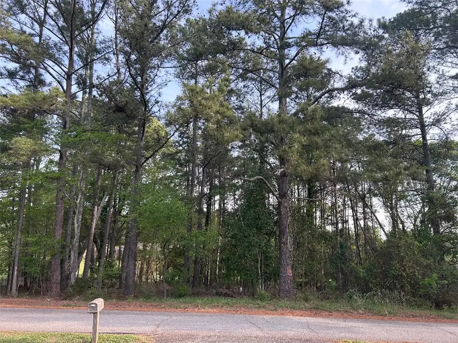 113 Leon Drive, Anderson, SC 29621 - #3