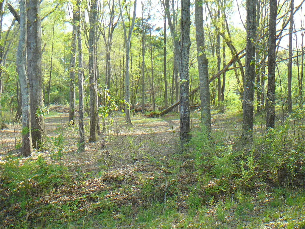 1019 Jones Drive, Anderson, SC 29626 - #1