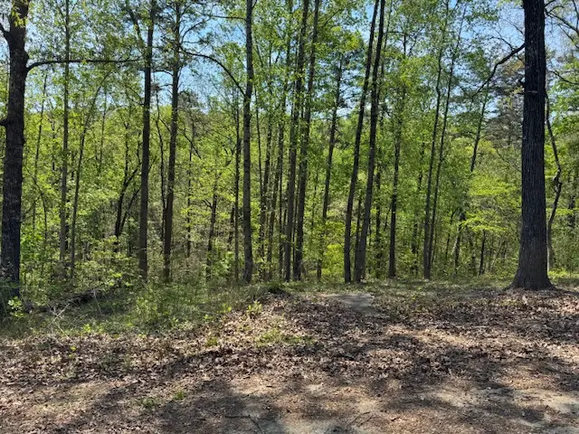 56 Cottonwood Court, Toccoa, GA 30577 - #1