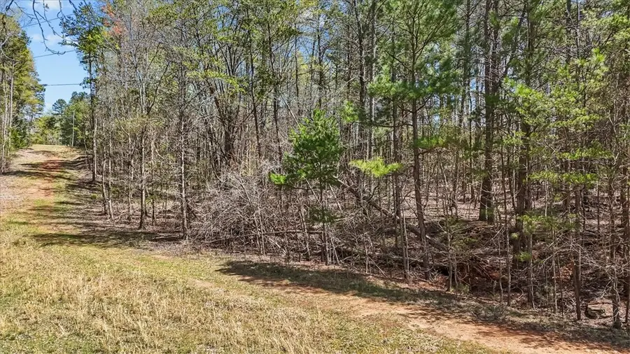 250 Meldau Road, Seneca, SC 29678 - #3