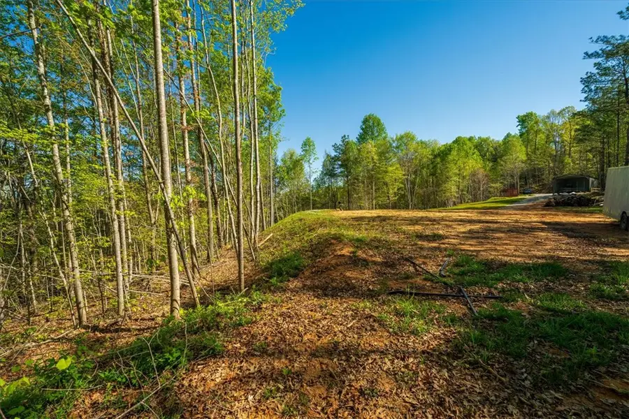 280 Dan Ross Road, Six Mile, SC 29682 - #3