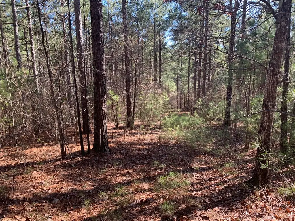 632 Pine Harbor Way, Salem, SC 29676 - #1