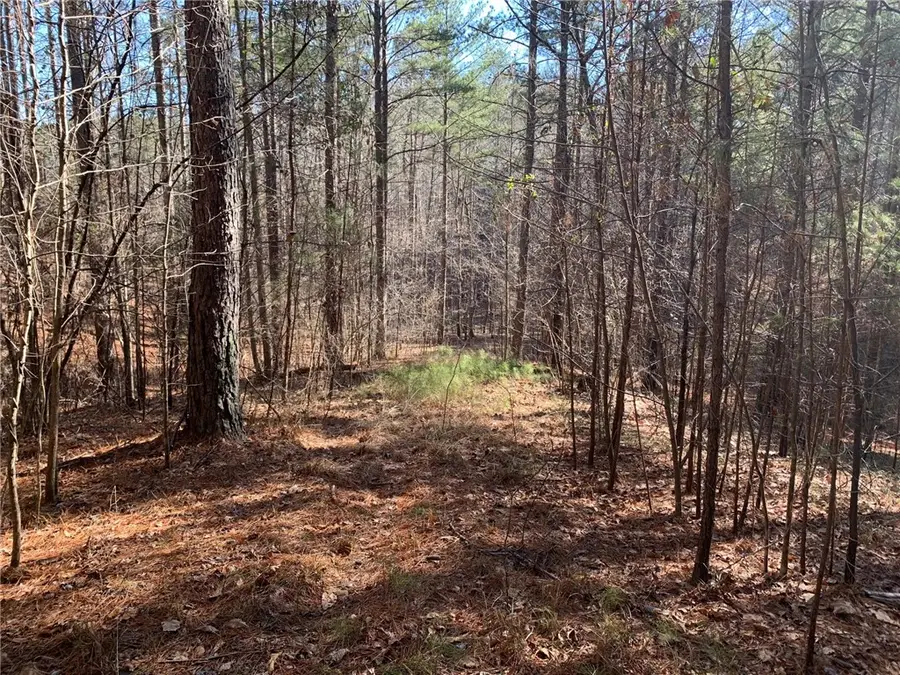 632 Pine Harbor Way, Salem, SC 29676 - #2