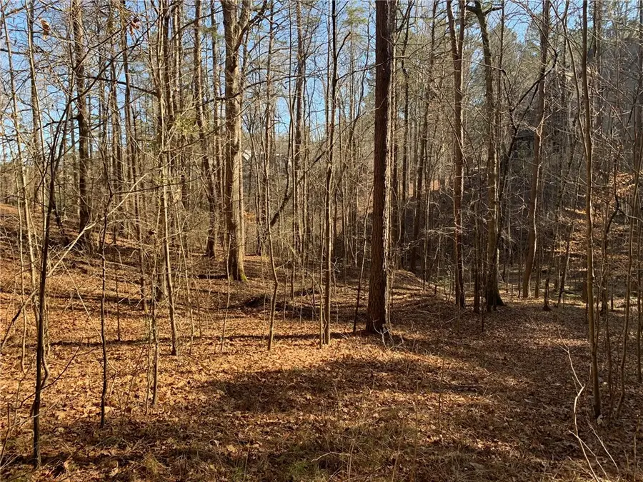 632 Pine Harbor Way, Salem, SC 29676 - #3