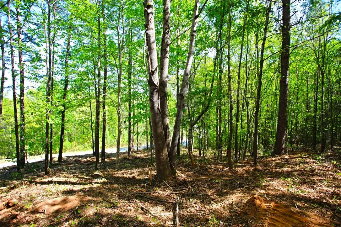 Lot 91 Harbor Point, Seneca, SC 29672 - #1