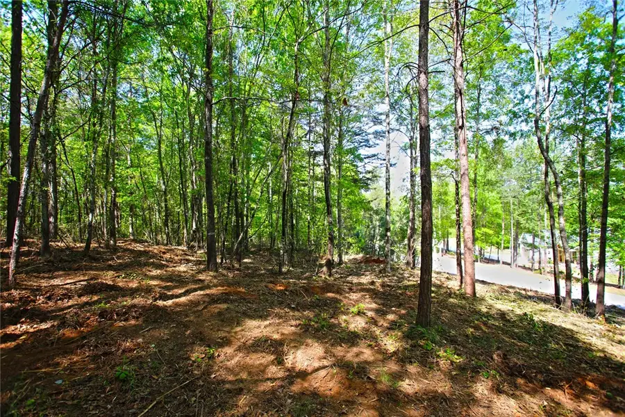 Lot 91 Harbor Point, Seneca, SC 29672 - #2