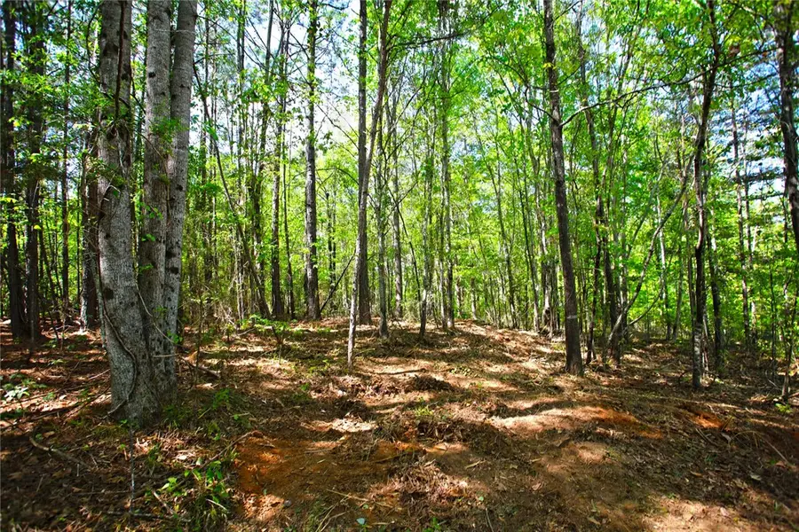 Lot 91 Harbor Point, Seneca, SC 29672 - #3