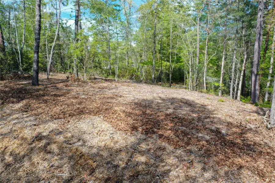 Lot 26 Turtlehead Drive, Salem, SC 29676 - #2
