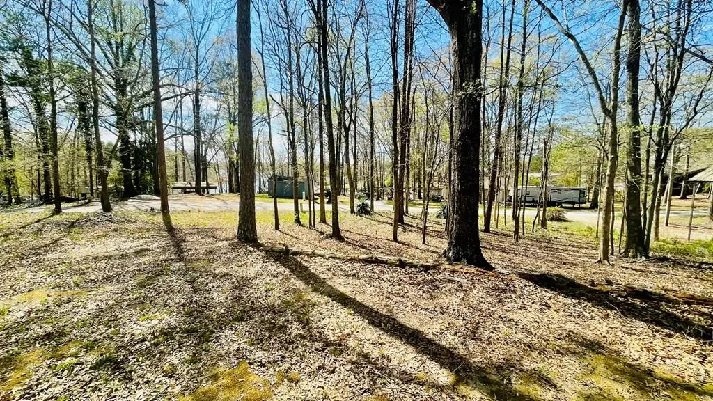 367 Wild Rose Lane, Seneca, SC 29678 - #1