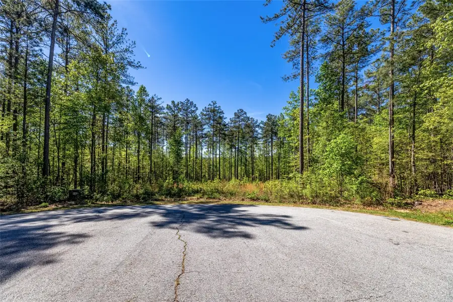 Lot E-29 Pine Ridge Way, Salem, SC 29676 - #3