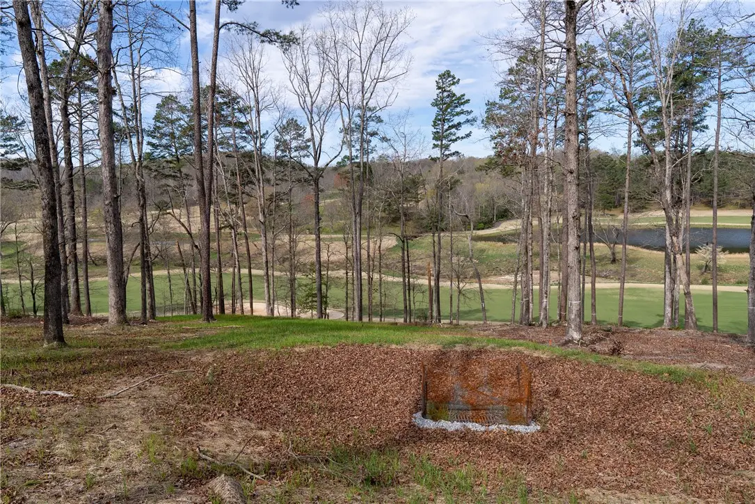 Lot 4 Fairway's Edge Drive, Salem, SC 29676 - #1