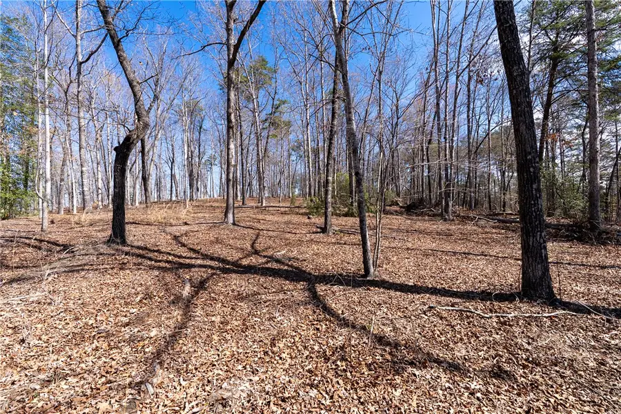 Lot 11 Fairway's Edge Drive, Salem, SC 29676 - #2