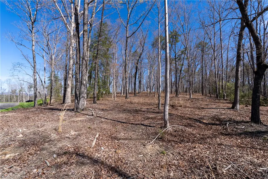 Lot 11 Fairway's Edge Drive, Salem, SC 29676 - #3