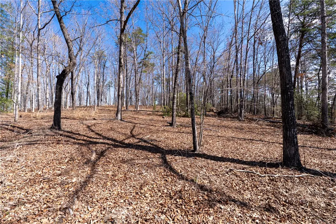 Lot 12 Fairway's Edge Drive, Salem, SC 29676 - #1