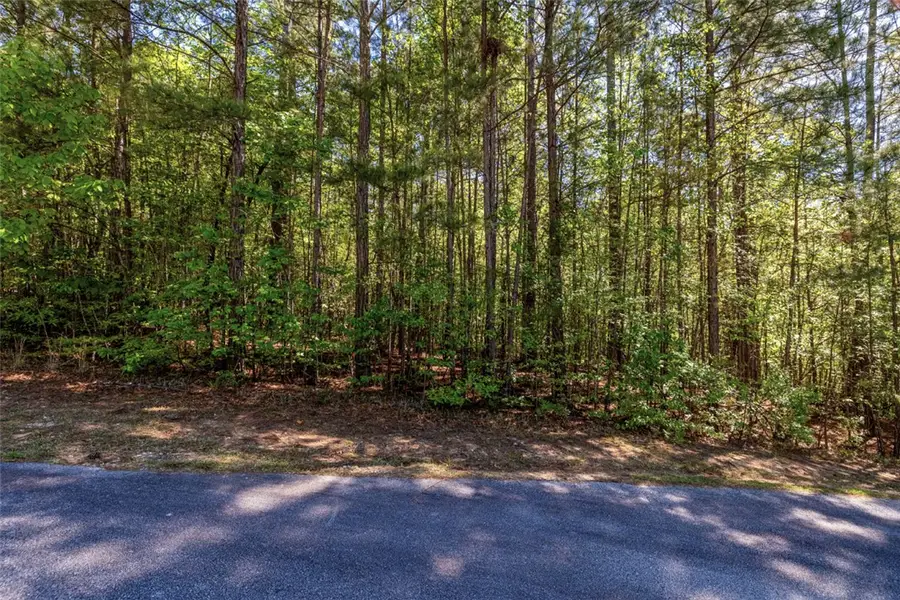 Lot E-30 Pine Ridge Way, Salem, SC 29676 - #2