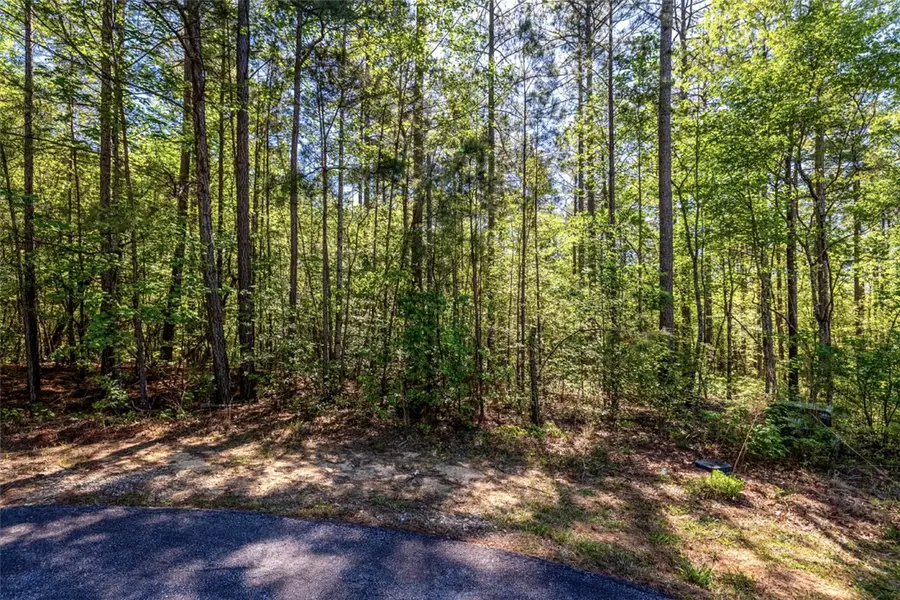 Lot E-30 Pine Ridge Way, Salem, SC 29676 - #3