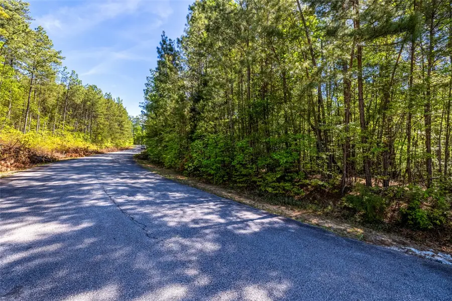 Lot E-31 Pine Ridge Way, Salem, SC 29676 - #2