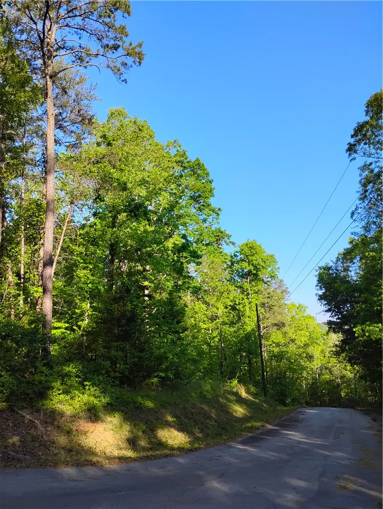 0 Rocky Falls Drive, Westminster, SC 29693 - #3