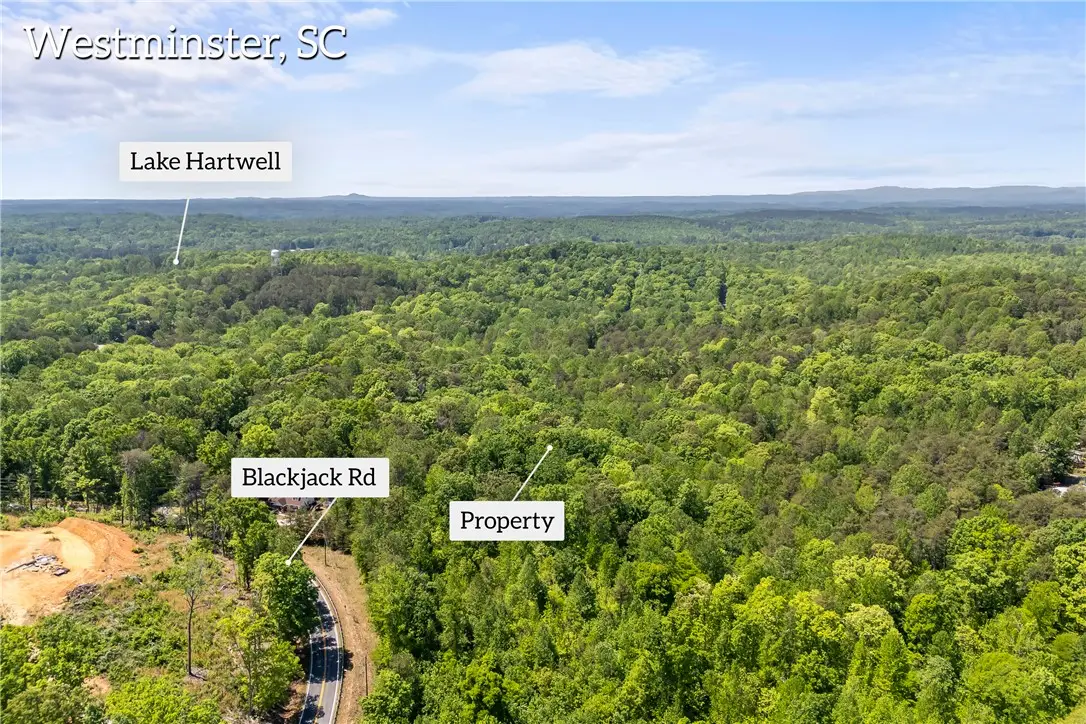 000 Pine Gap Cove, Westminster, SC 29693 - #1