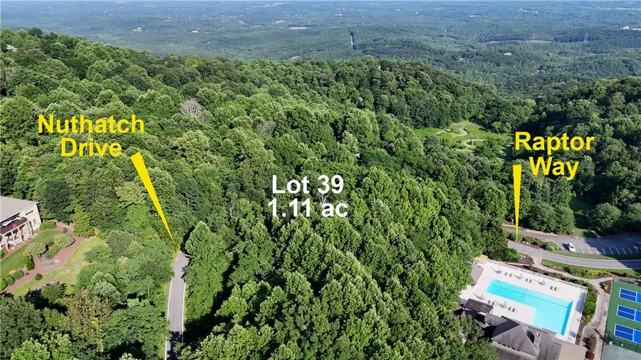 39 Raptor Way Way, Landrum, SC 29356 - #3