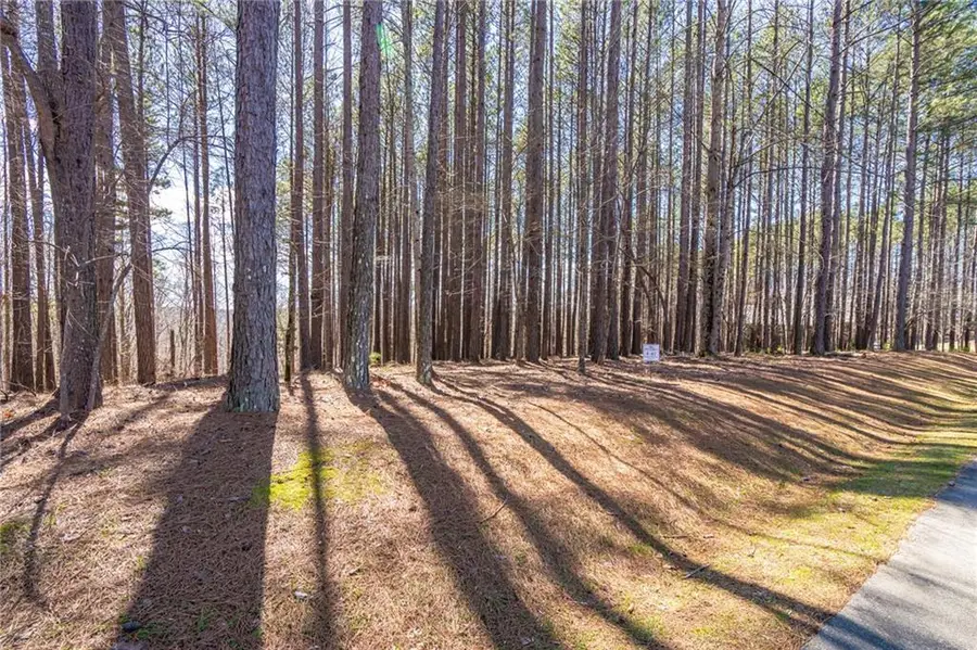 703 Top Ridge Drive, Sunset, SC 29685 - #2