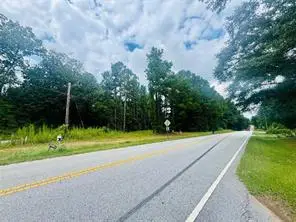 0 Old Douglas Mill Road, Abbeville, SC 29620 - #2