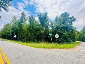 0 Old Douglas Mill Road, Abbeville, SC 29620 - #3