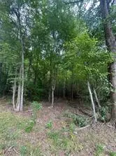 00 Old Douglas Mill Road, Abbeville, SC 29620 - #2