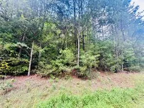00 Old Douglas Mill Road, Abbeville, SC 29620 - #3