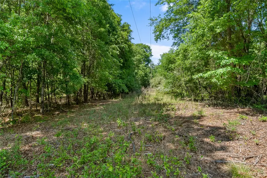 00 Boggs Road, Belton, SC 29627 - #2