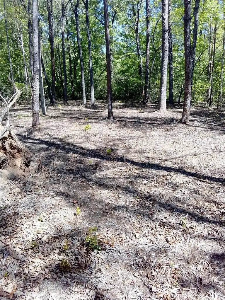 0 C H 66, Tamassee, SC 29686 - #2