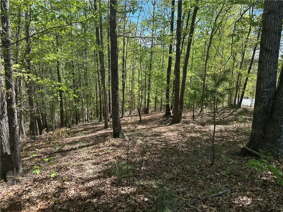 534 Ginseng Drive, Sunset, SC 29685 - #2