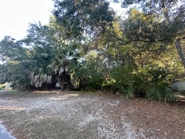 Lot 4A Bonita Drive, Fripp Island, SC 29920 - #1